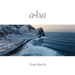 a-ha — You Have What It Takes