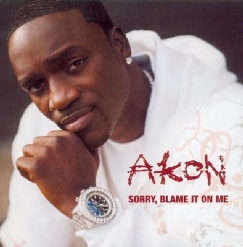 Akon — Sorry Blame It On Me