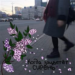 Алёна Швец. — ///голосовые сообщения////