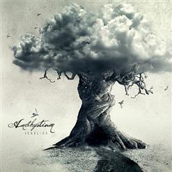 Amethystium — Unbounded