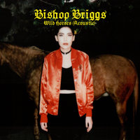 Bishop Briggs — Wild Horses