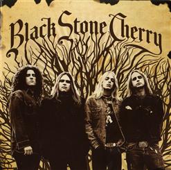 Black Stone Cherry — Shooting Star