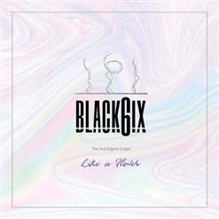 BLACK6IX — Like A Flower