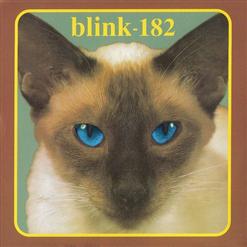 Blink-182 — Touchdown Boy