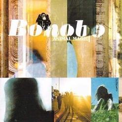 Bonobo — Silver