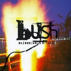 Bush — Mouth