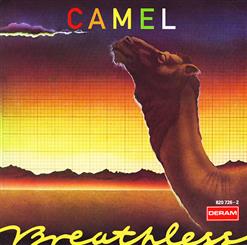 Camel — Echoes