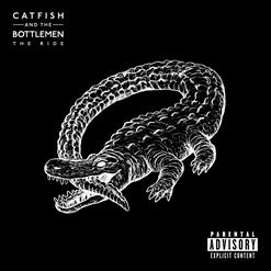 Catfish and the Bottlemen — Twice