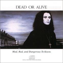Dead Or Alive — Something in my House