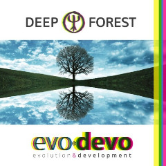 Deep Forest — Sing With The Birds
