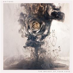 Editors — Nothing