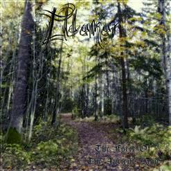 Eldamar — Spirit Of The North