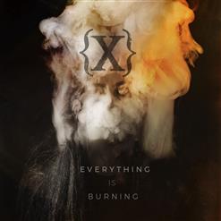IAMX — Scars