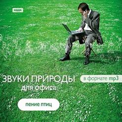 Id — Дождь В Лесу
