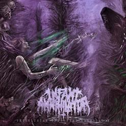 Infant Annihilator — Motherless Miscarriage