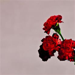 John Legend — Tomorrow