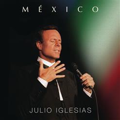 Julio Iglesias — Usted