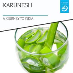 Karunesh — A Journey To India