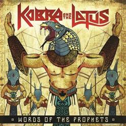 Kobra And The Lotus — Black Velvet