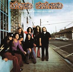 Lynyrd Skynyrd — Down South Jukin' (Demo)