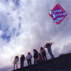 Lynyrd Skynyrd — I'm A Country Boy