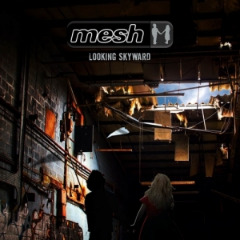 Mesh — My Protector