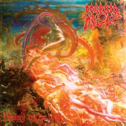 Morbid Angel — Brainstorm