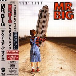 Mr. Big — Shine
