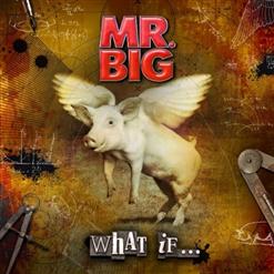 Mr. Big — Undertow