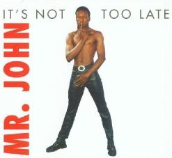 Mr. John — It's Not Too Late (Radio Edit)