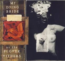 My Dying Bride — Silent Dance