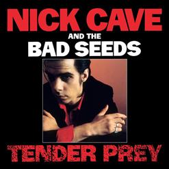 Nick Cave And The Bad Seeds — The Mercy Seat