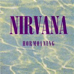 Nirvana — Even In His Youth