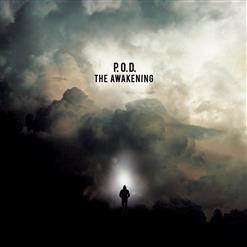 P.O.D. — Want It All