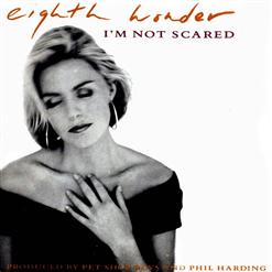 Pet Shop Boys — I'm Not Scared (LP Version)
