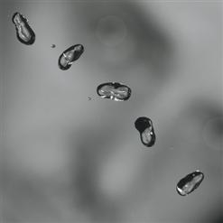 Peter Gabriel — My Head Sounds Like That