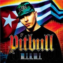 Pitbull — 305 Anthem (feat. Lil Jon)