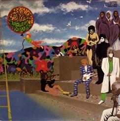 Prince & The Revolution — Raspberry Beret