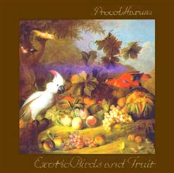 Procol Harum — The Idol