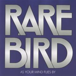 Rare Bird — What You Want To Know