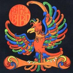 Rare Bird — You Went Away