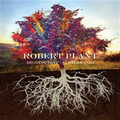Robert Plant — 29 Palms (2006 Remaster)
