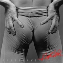 Scissor Sisters — Any Which Way