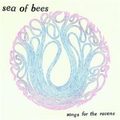 Sea Of Bees — Won't Be Long
