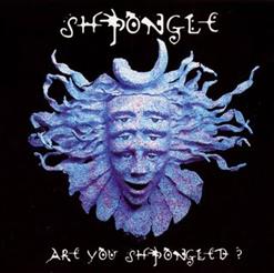 Shpongle — Divine Moments of Truth