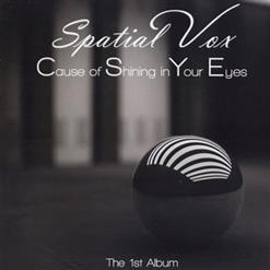Spatial Vox — No Flying