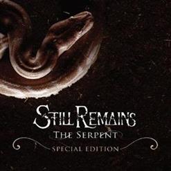 Still Remains — Stay Captive