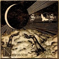 Swallow The Sun — Sleepless Swans