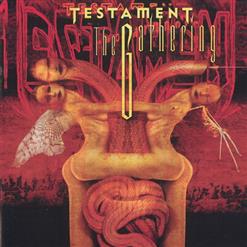 Testament — Hammer Of The Gods [Bonus Track]