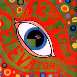The 13th Floor Elevators — Roller Coaster